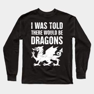 Dragons | Funny Renaissance Festival Costume Long Sleeve T-Shirt